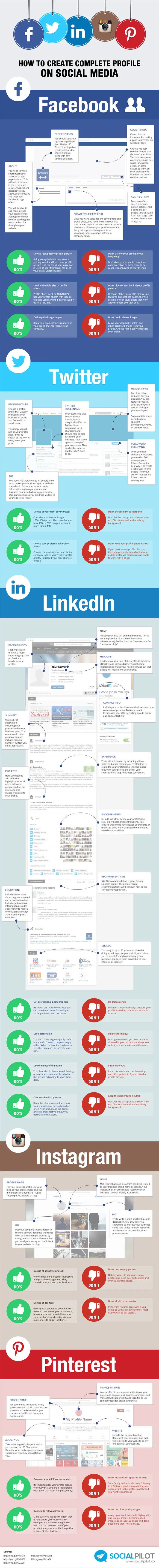 Infografía de Perfiles en las Redes Sociales