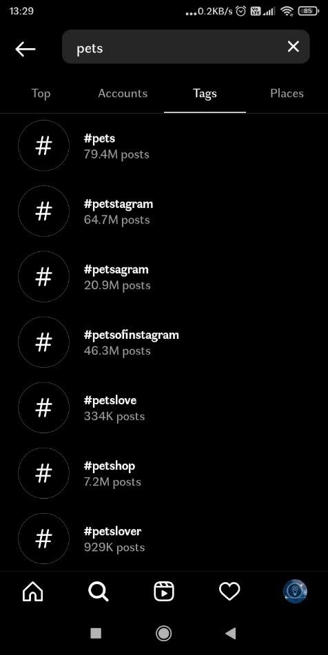 Pets hashtags for Instagram